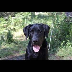 Meet your Posher, Sydney